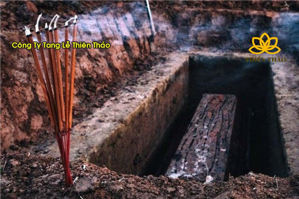 Cai-tang-boc-mo--Hoa-tang